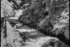 Valle Aurina (Trentino Alto Adige - Italia) - Scorcio del torrente impetuoso che scendendo dal Pizzo Rosso forma la cascata Rotbach