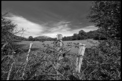 Campo di Montelanico (Lazio - Italia) - Vista dell'altopiano sui Monti Lepini