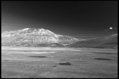 Piani di Castelluccio di Norcia (Umbria - Italia) - Un gregge di pecore attraversa lo sterminato altopiano